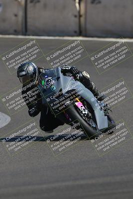 media/Sep-21-2025-TrackDaz (Sun) [[277c75b276]]/B Group/220pm (Turn 6)/